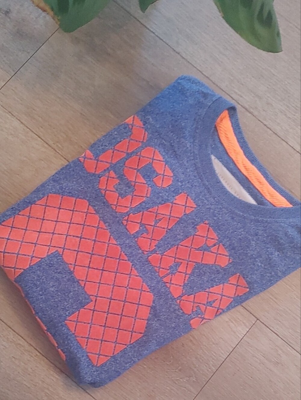 Superdry Osaka Graphic Tee - Blue & Orange